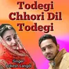 About Todegi Chhori Dil Todegi Song